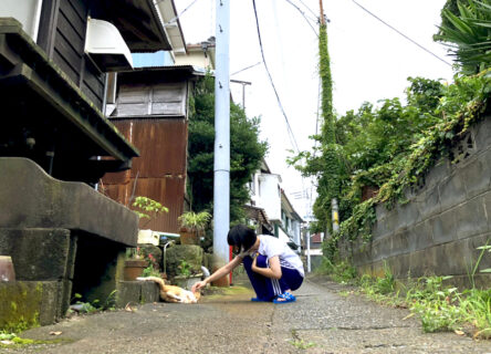 稲取の日常　〜路地と猫〜