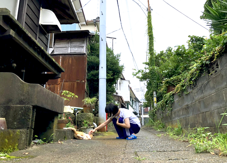 稲取の日常　〜路地と猫〜