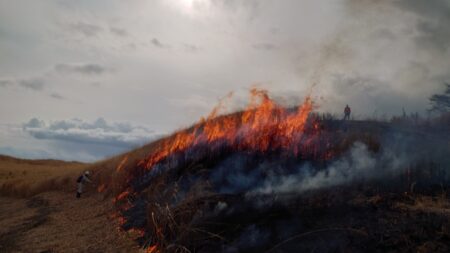 【山を燃やして、自然を守る】 細野高原山焼きレポート